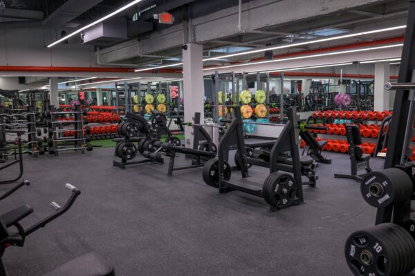 Olympic Incline Bench Press - Image 9