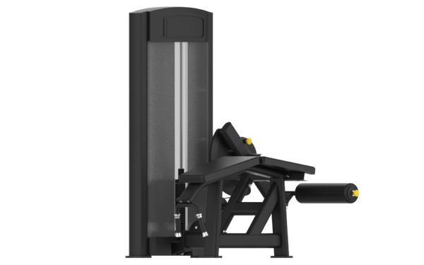 Prone Leg Curl - Image 2