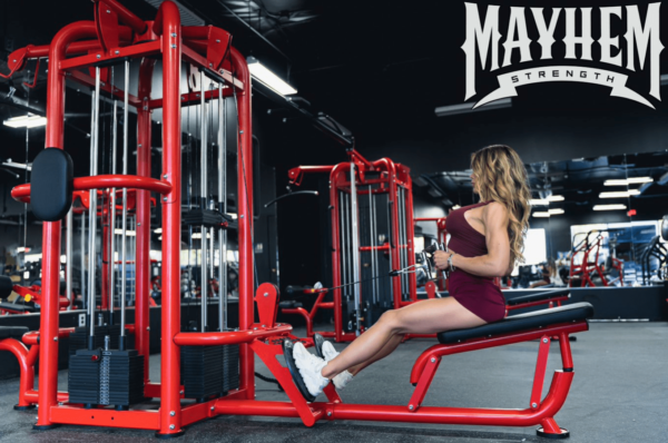 12 Station Multi Gym - Image 7