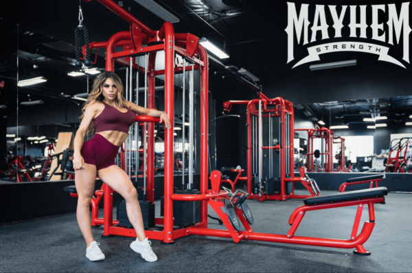 12 Station Multi Gym - Image 2