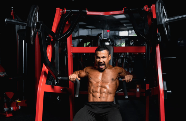 Chest Press - Image 8