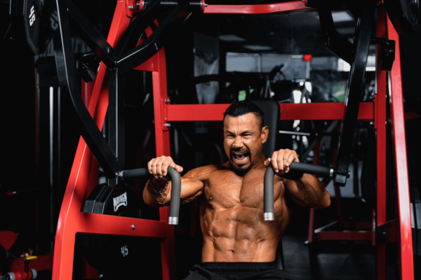 Chest Press - Image 10