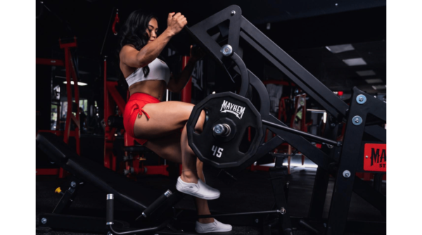 Spider Leg Press - Image 13