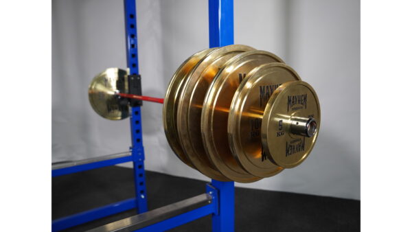 Mayhem Strength Gold Chrome Calibrated Plates - Image 2