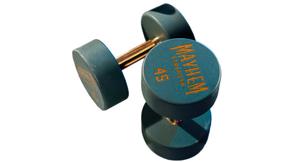 V3 Urethane Dumbbells - Gold Handles and Grey Urethanes6