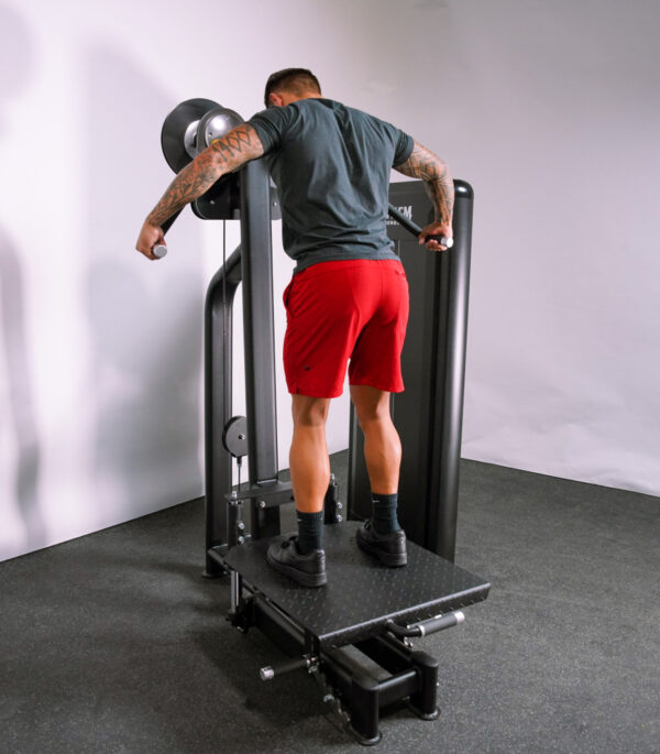 Lateral Raise/Chest Fly Combo - Image 7