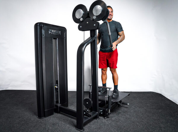 Lateral Raise/Chest Fly Combo - Image 4