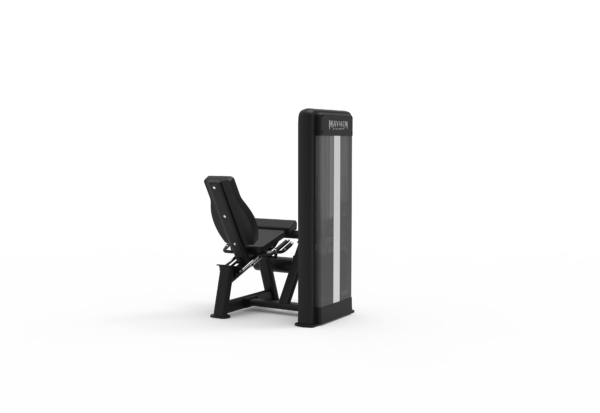 Seated Leg Extension - Image 3