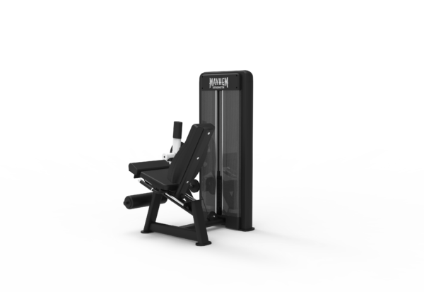 Seated Leg Extension - Image 2