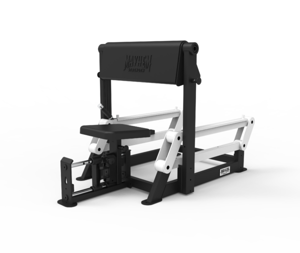 Preacher Curl Bench