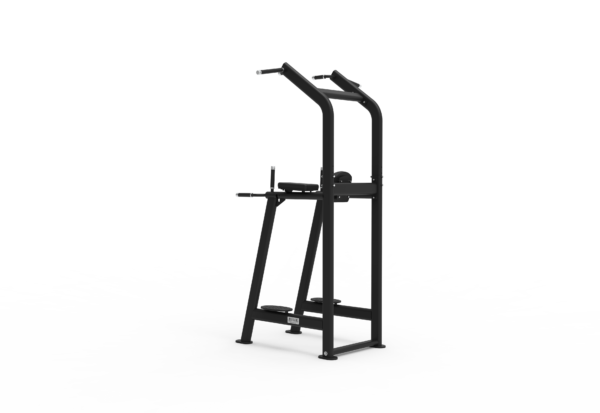 Chin/Dip/Leg Raise