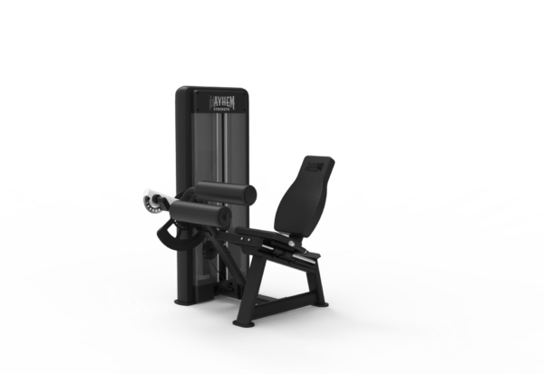 Seated Leg Curl