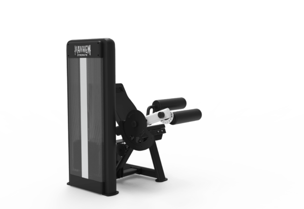 Seated Leg Curl - Image 3
