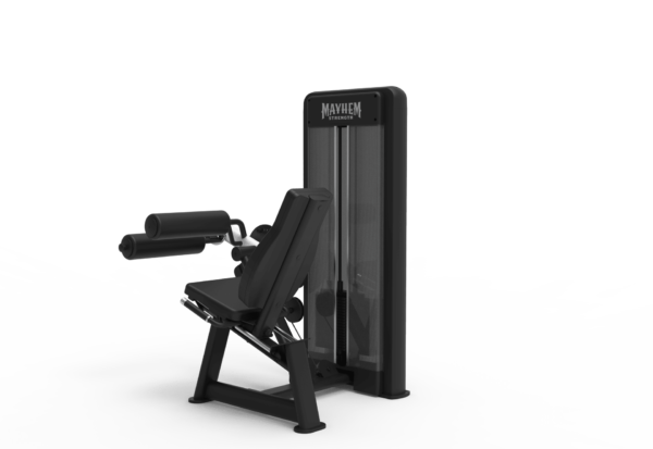 Seated Leg Curl - Image 2