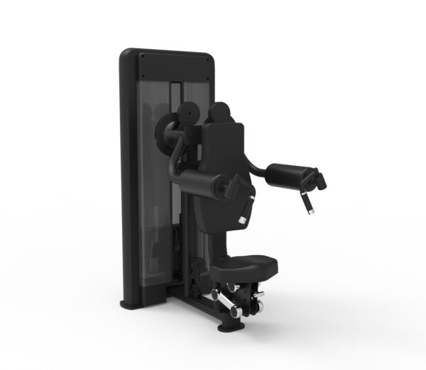 Seated Lateral Raise
