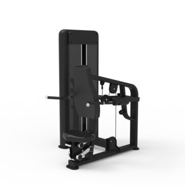Triceps Dip
