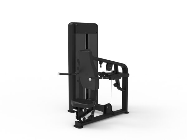 Triceps Dip