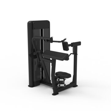 Triceps Extension
