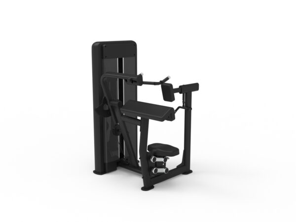 Triceps Extension