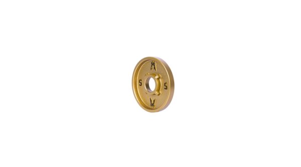 Mayhem Strength Gold Deep Dish Iron Plates - Image 6