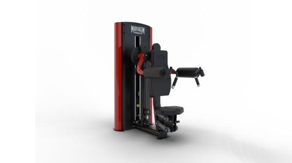 Seated Lateral Raise - Image 3