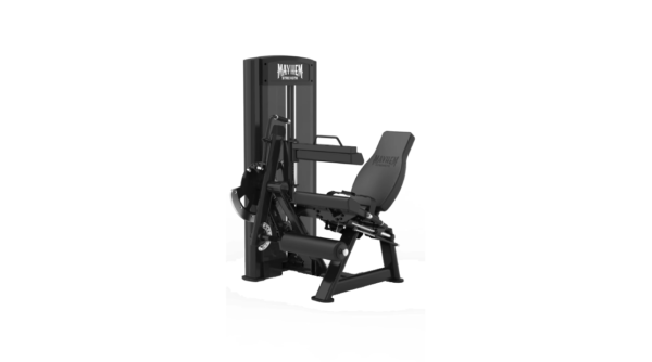 Seated Leg Extension & Curl Combo